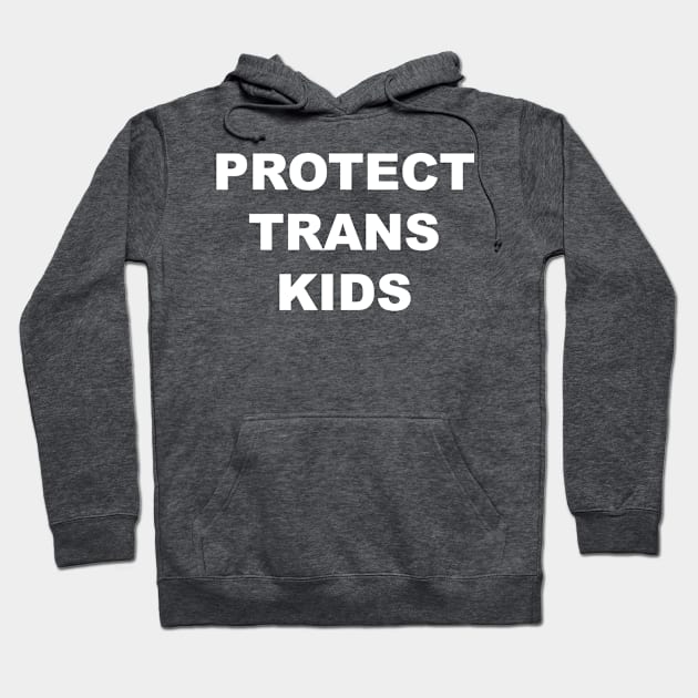 Protect Trans Kids Hoodie by Trans Action Lifestyle